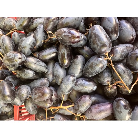 Лоза сорт "Велика"