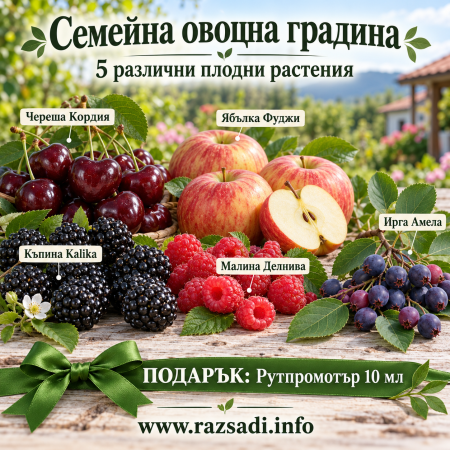 Пакет „Семейна градина“ – 5 различни плодни растения