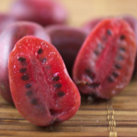 Киви arguta 'Ken's Red' 